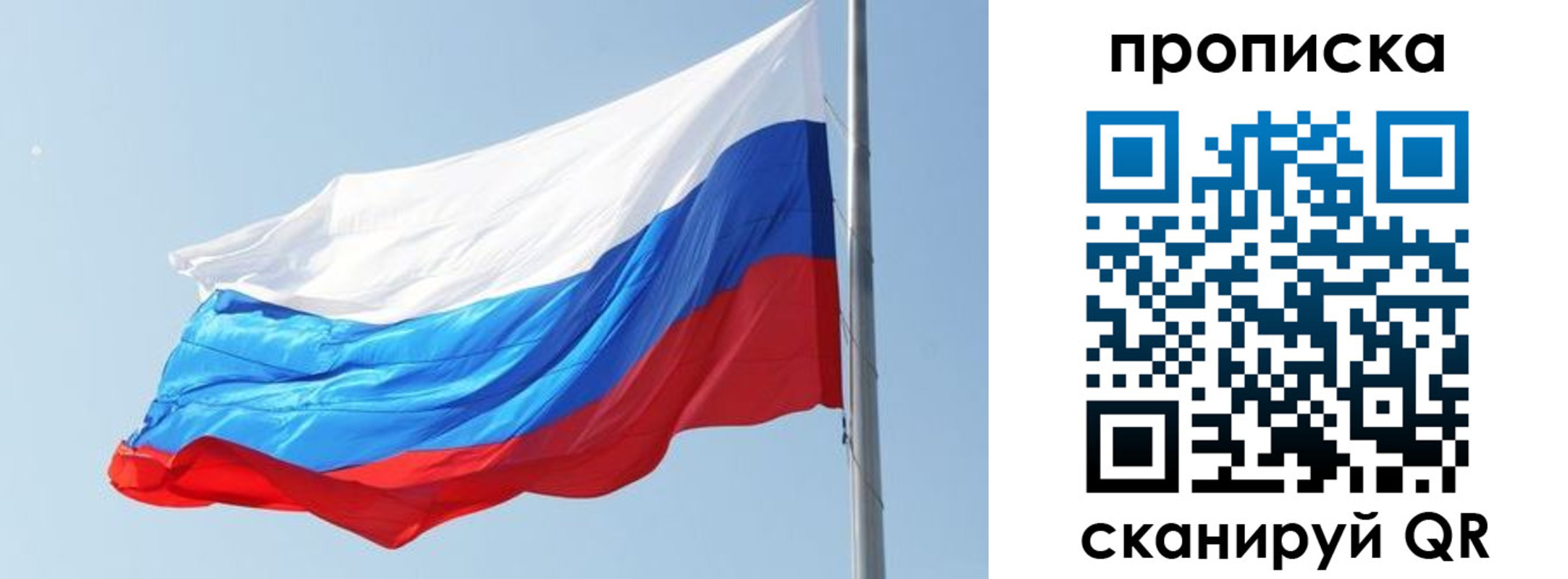 прописка для школы в Электростали